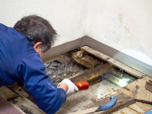 Best Crawl Space Mold Removal  in Man, IL