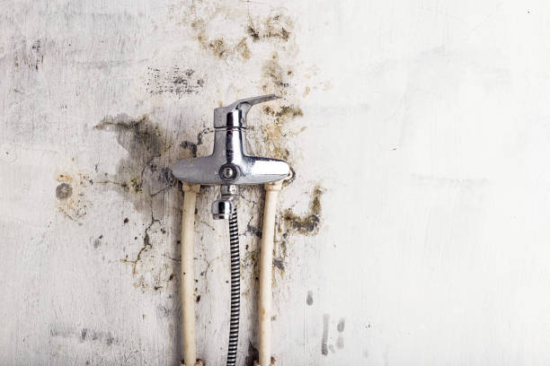 Home Mold Removal in Milan, IL