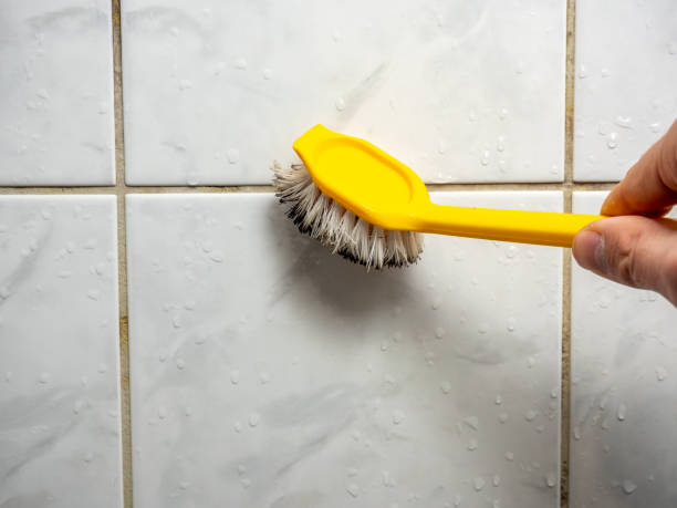Best Black Mold Removal  in Man, IL