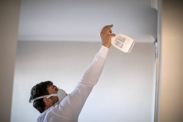 Best Mold Cleaning Services  in Man, IL