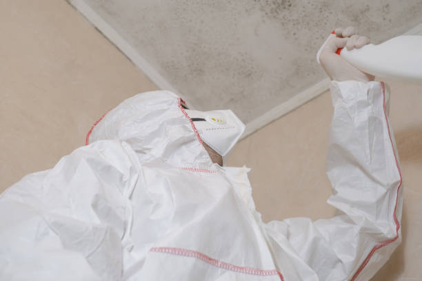 Best Mold Inspection  in Man, IL