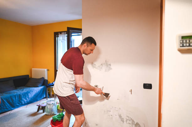 Best Mold Cleaning Services  in Man, IL
